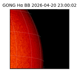 gong - 2026-04-20T23:00:02