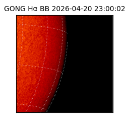 gong - 2026-04-20T23:00:02