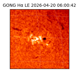 gong - 2026-04-20T06:00:42