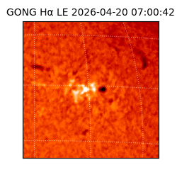 gong - 2026-04-20T07:00:42