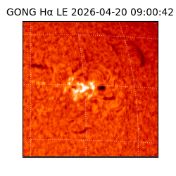 gong - 2026-04-20T09:00:42