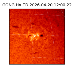 gong - 2026-04-20T12:00:22