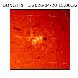 gong - 2026-04-20T15:00:22