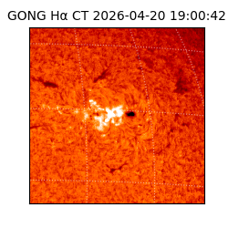gong - 2026-04-20T19:00:42