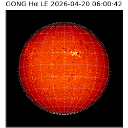 gong - 2026-04-20T06:00:42