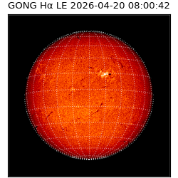 gong - 2026-04-20T08:00:42