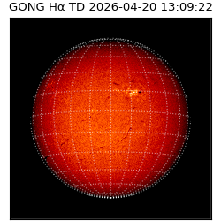 gong - 2026-04-20T13:09:22