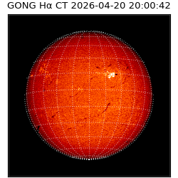 gong - 2026-04-20T20:00:42