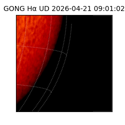 gong - 2026-04-21T09:01:02