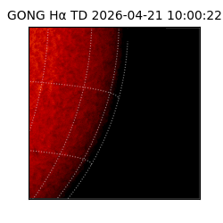 gong - 2026-04-21T10:00:22