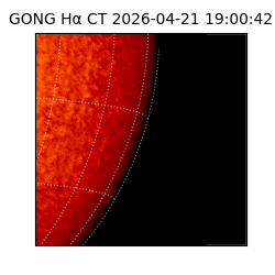 gong - 2026-04-21T19:00:42