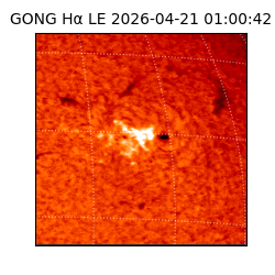 gong - 2026-04-21T01:00:42