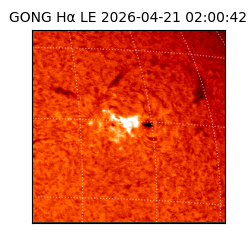 gong - 2026-04-21T02:00:42