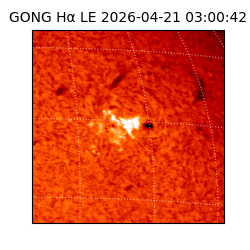 gong - 2026-04-21T03:00:42