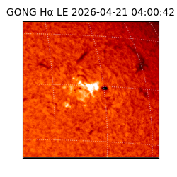 gong - 2026-04-21T04:00:42