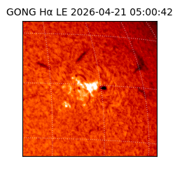 gong - 2026-04-21T05:00:42