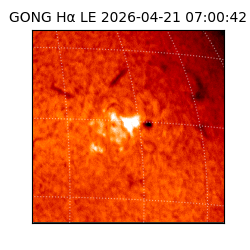 gong - 2026-04-21T07:00:42