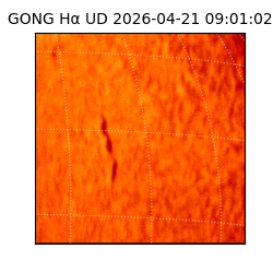gong - 2026-04-21T09:01:02