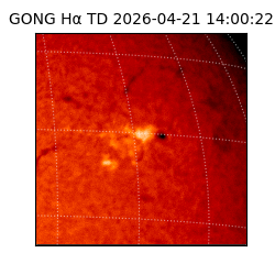 gong - 2026-04-21T14:00:22