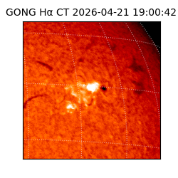 gong - 2026-04-21T19:00:42