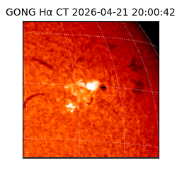 gong - 2026-04-21T20:00:42