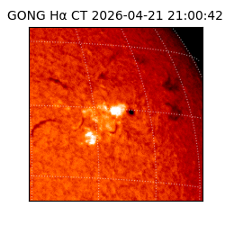 gong - 2026-04-21T21:00:42