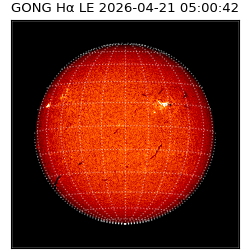 gong - 2026-04-21T05:00:42