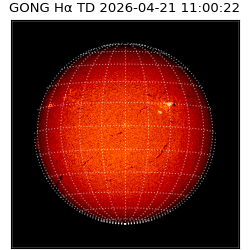 gong - 2026-04-21T11:00:22