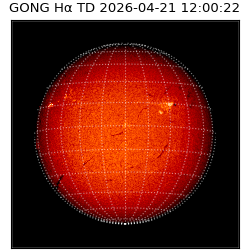 gong - 2026-04-21T12:00:22
