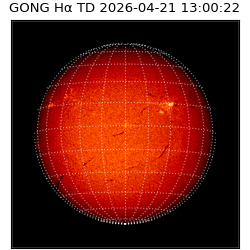 gong - 2026-04-21T13:00:22