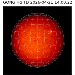 gong - 2026-04-21T14:00:22