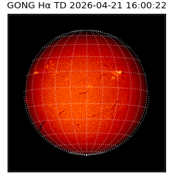 gong - 2026-04-21T16:00:22