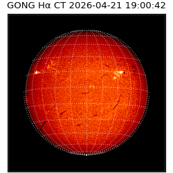 gong - 2026-04-21T19:00:42