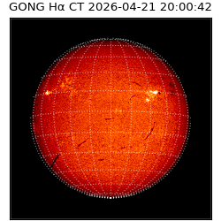 gong - 2026-04-21T20:00:42