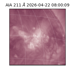 saia - 2026-04-22T08:00:09.629000