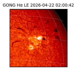 gong - 2026-04-22T02:00:42