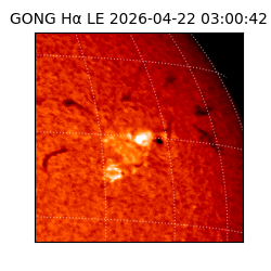 gong - 2026-04-22T03:00:42