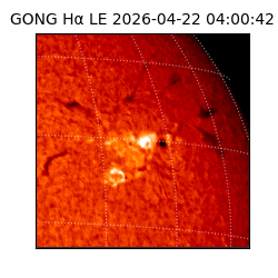 gong - 2026-04-22T04:00:42