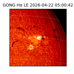 gong - 2026-04-22T05:00:42