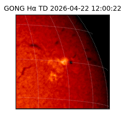 gong - 2026-04-22T12:00:22