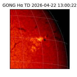 gong - 2026-04-22T13:00:22