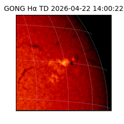 gong - 2026-04-22T14:00:22