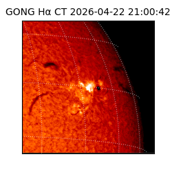 gong - 2026-04-22T21:00:42