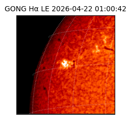 gong - 2026-04-22T01:00:42