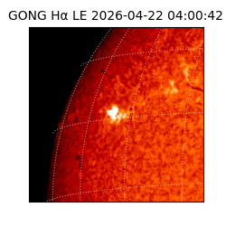 gong - 2026-04-22T04:00:42