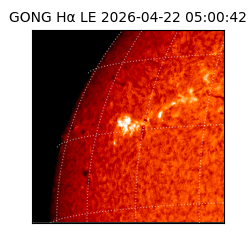 gong - 2026-04-22T05:00:42