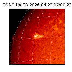 gong - 2026-04-22T17:00:22
