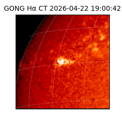 gong - 2026-04-22T19:00:42