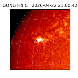 gong - 2026-04-22T21:00:42