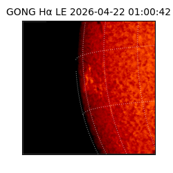 gong - 2026-04-22T01:00:42